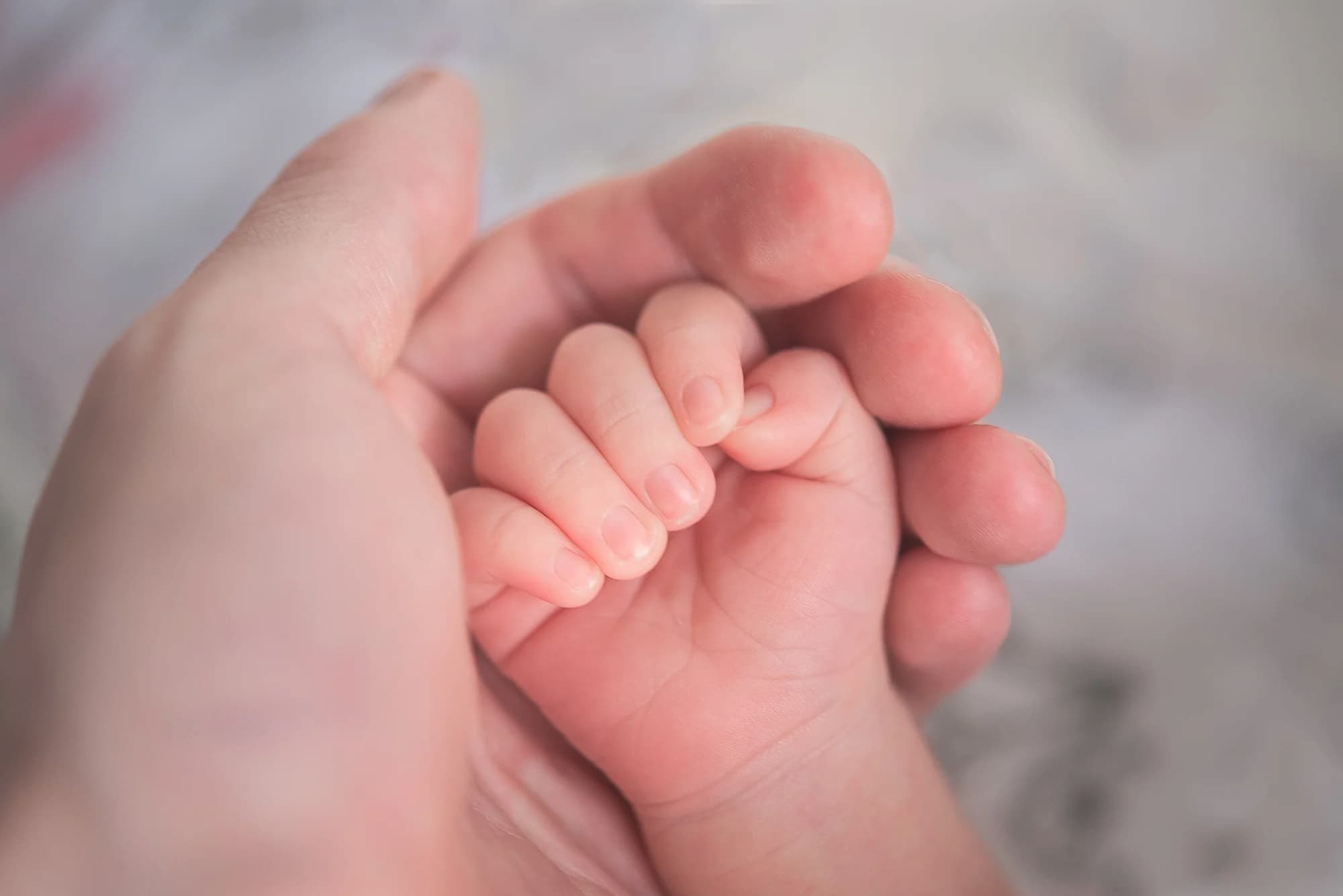 Tiny IVF miracle baby hand held by caring adult hand