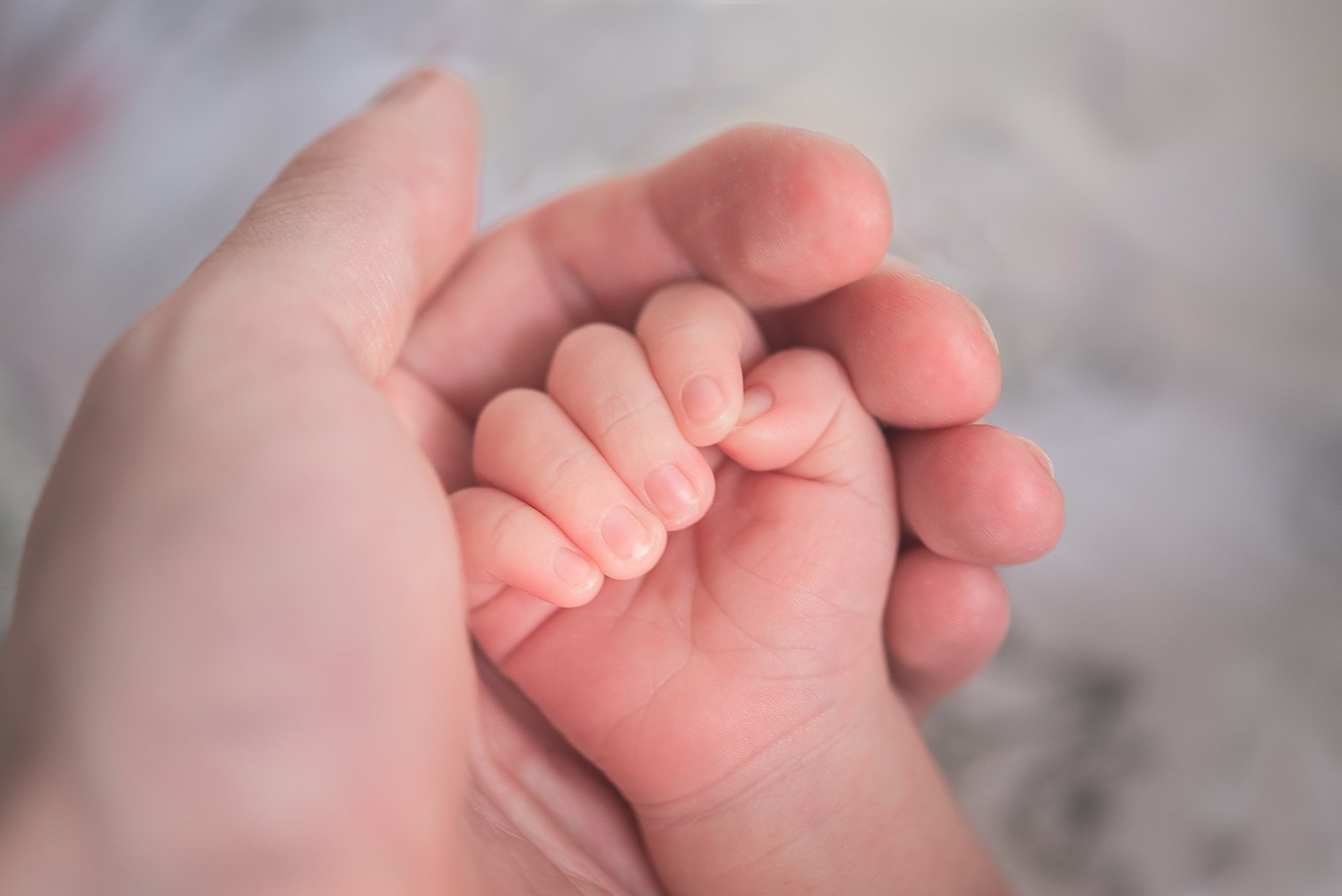 A small babyhand in a parent's hand.