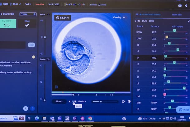 A blastocyst or embryo hatching at 52 h