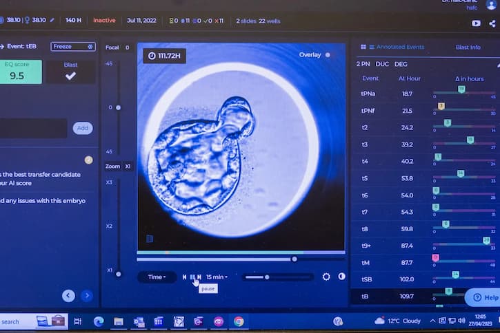 Blastocyst developing 113.72 h