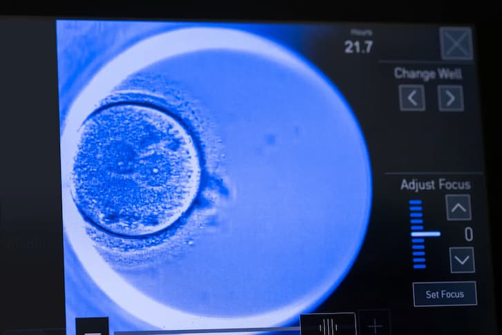 Embryo developing