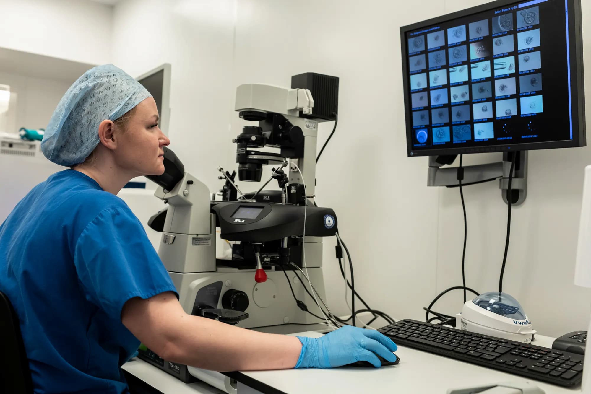 Embryologist looking at a computer screen displaying blastocyst or embryos haching
