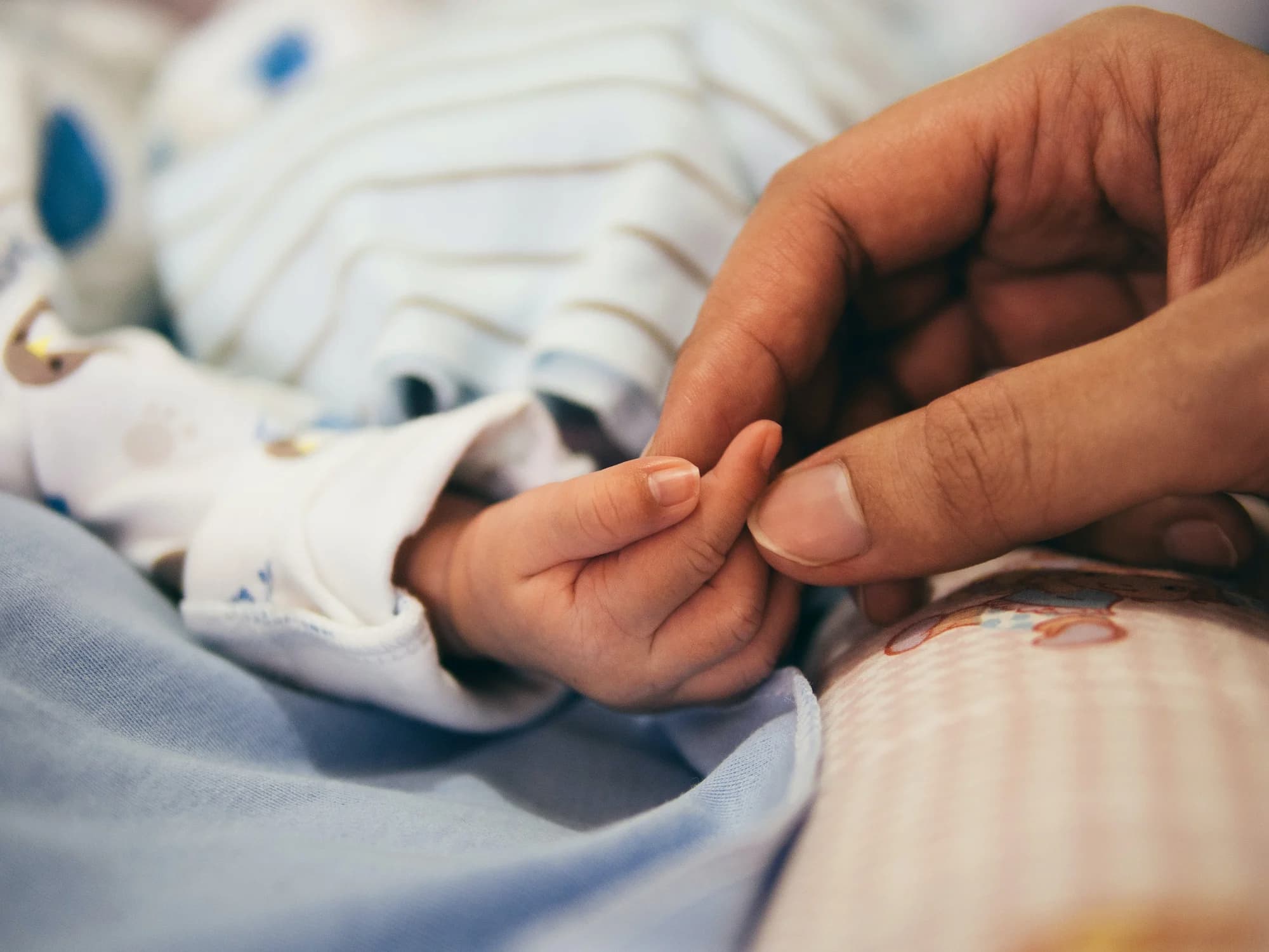 Baby hand held into an adult hand