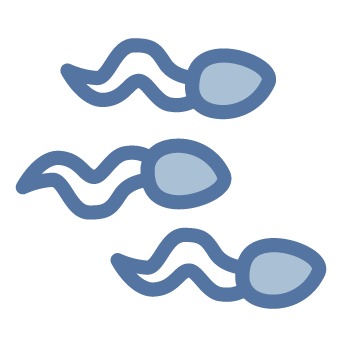 icon-donor-sperm@2x